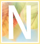 Inspirational Quotes of Hope and Consolation