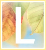 Condolence Poems and Verses