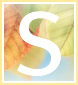 Inspirational Quotes of Hope and Consolation