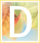 Inspirational Quotes of Hope and Consolation