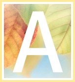 Funeral Card Messages