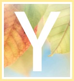 Inspirational Quotes of Hope and Consolation