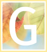 Inspirational Quotes of Hope and Consolation