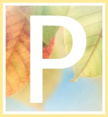 Inspirational Quotes of Hope and Consolation