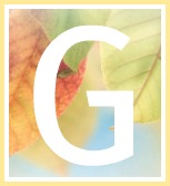 Inspirational Quotes of Hope and Consolation