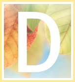 Inspirational Quotes of Hope and Consolation