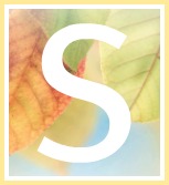 Inspirational Quotes of Hope and Consolation