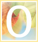 Messages of Condolence