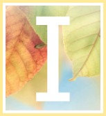 Saint John of the Cross Sympathy Quote