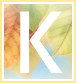 Sympathy Poems for Cards