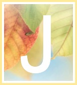 Inspirational Quotes of Hope and Consolation