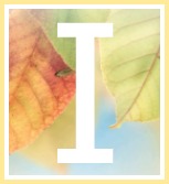 Inspirational Quotes of Hope and Consolation