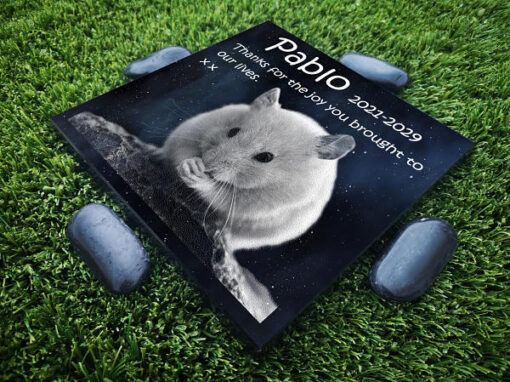Hamster Grave Markers with pictures made from granite