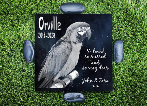Personalized Pet Grave Markers for Birds