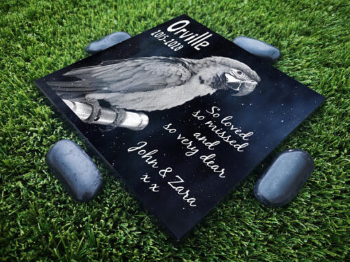 Parrot Memorial Stone for garden with photo