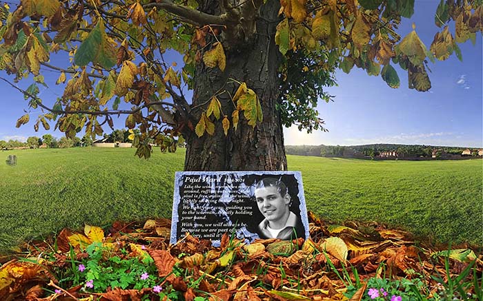 Commemoration plaque with photo placed under a tree